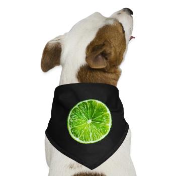Limette - Hunde-Bandana - Schwarz - Vorne