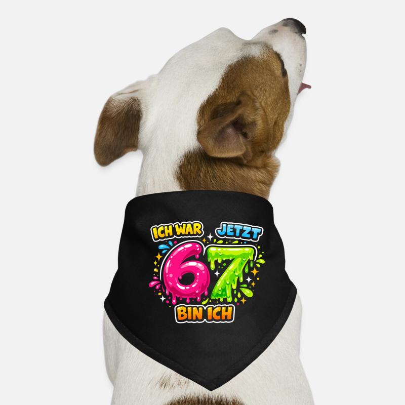67 Six Seven Meme Gen Alpha Geschenk Hunde-Bandana