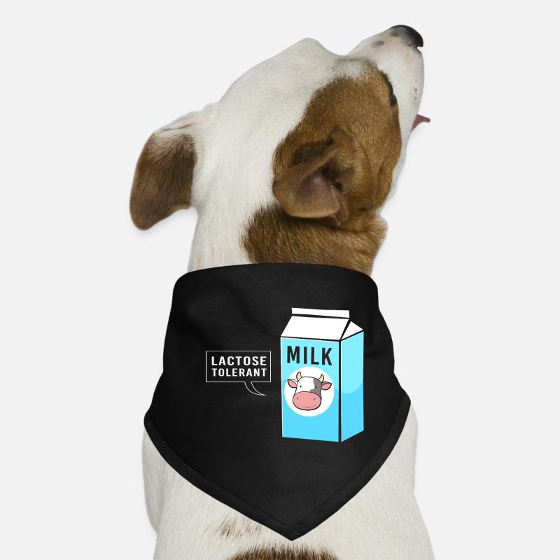 Milk Lactose Flatulence Dog Bandana