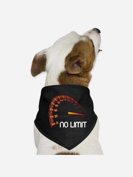 Tacho - No Limit - Hunde-Bandana - Schwarz - Vorne
