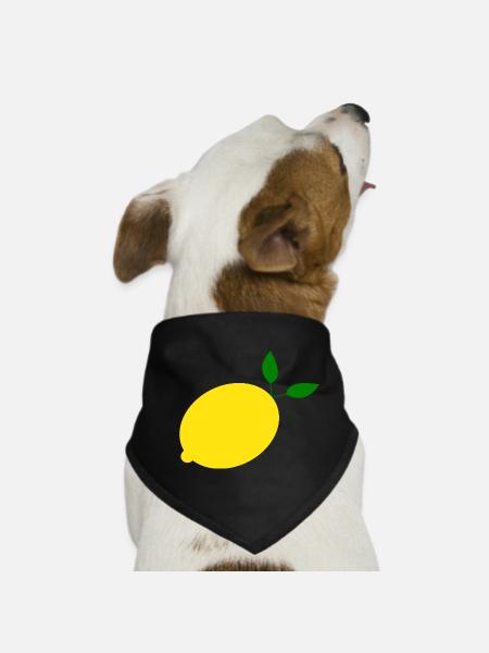 Citron Lime Lime - Bandana pour chien - noir - Devant