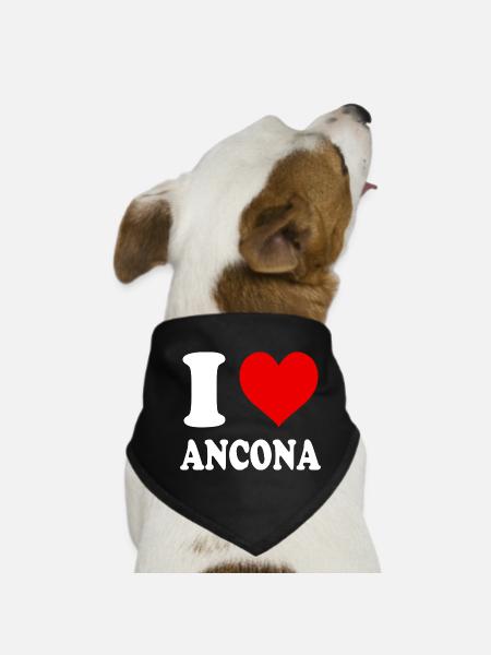 I Love Ancona Italy Funny Witty Heart - Dog Bandana - black - Front