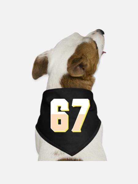 6 7 – Trendiges, minimalistisches Textdesign, - Hunde-Bandana - Schwarz - Vorne