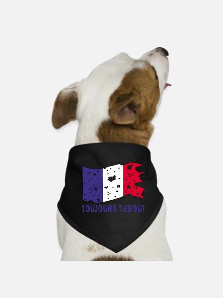 Drapeau français déchiré mais toujours debout ! - Bandana pour chien - noir - Devant