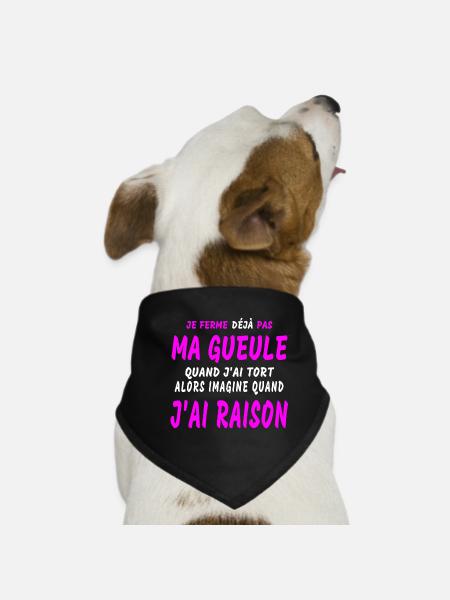 J'AI RAISON - Bandana pour chien - noir