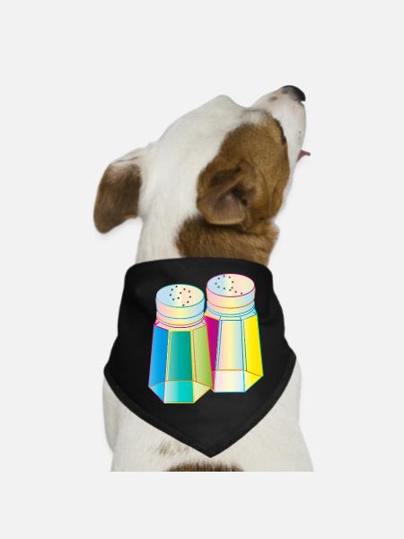 Salt & Pepper in a Prisma Glass – Colorful Spice - Dog Bandana - black - Front