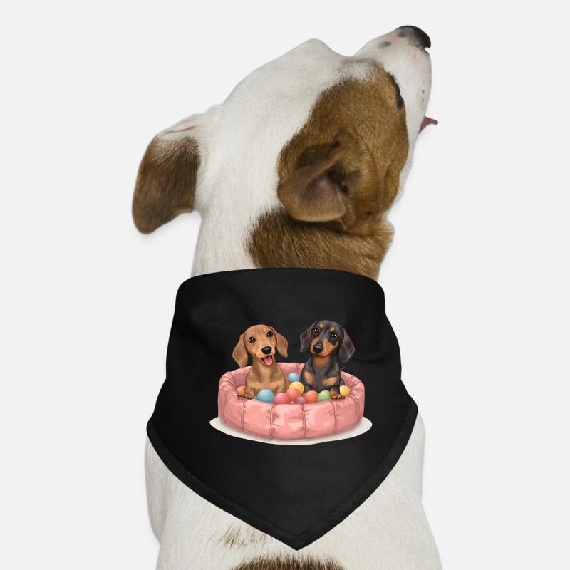 Teckels mignons - Teckel dans la piscine à balles Bandana pour chien