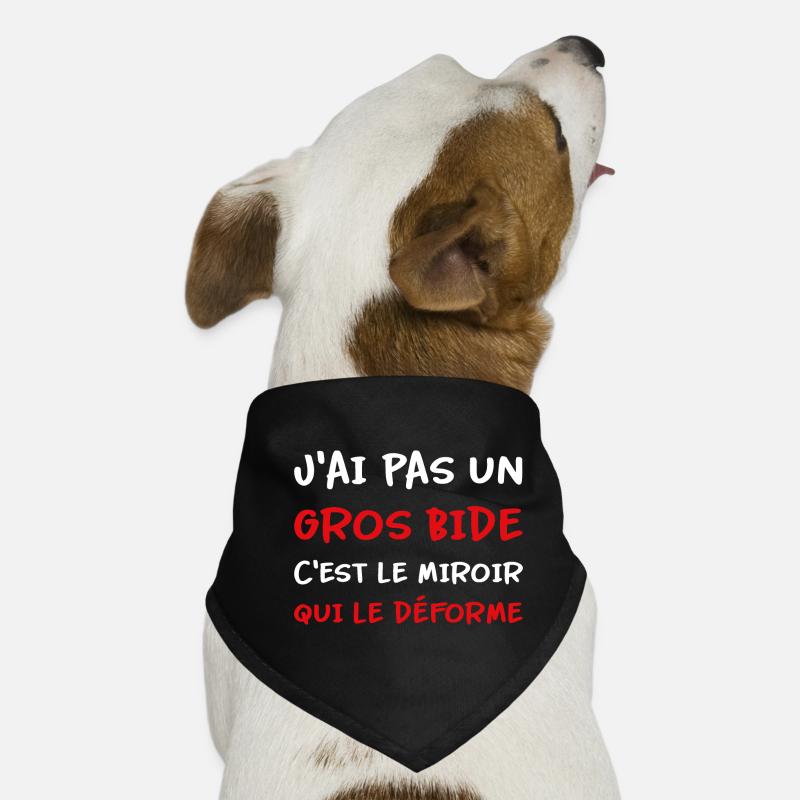 J’ai pas un gros bide c’est le miroir qui déforme Bandana pour chien