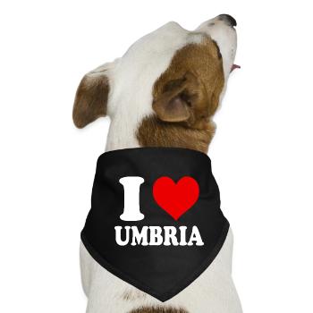 Ich liebe Umbrien Region Italien Stadt Herz Lustig - Hunde-Bandana - Schwarz - Vorne