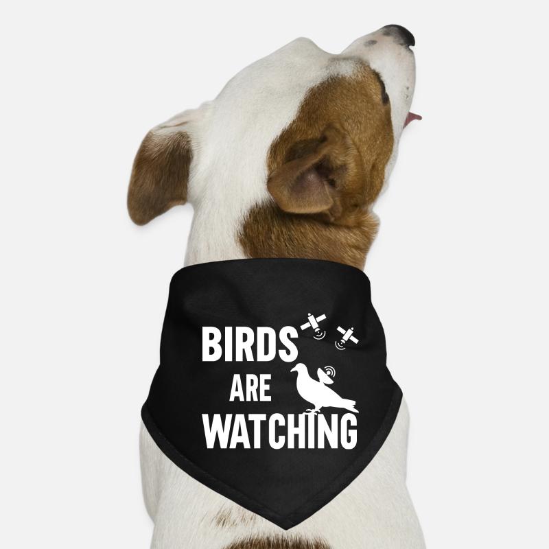 Les oiseaux observent Bandana pour chien