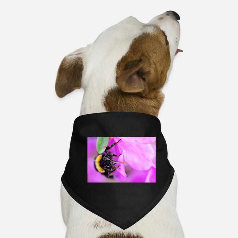 Bee on the violet - Dog Bandana - black