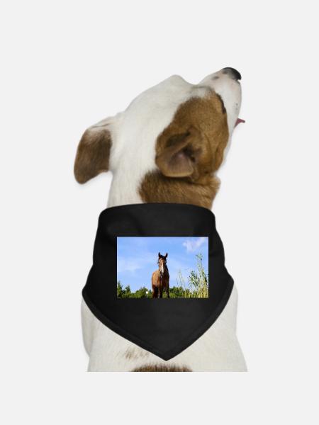 Pferd Pferdeposter - Hunde-Bandana - Schwarz - Vorne