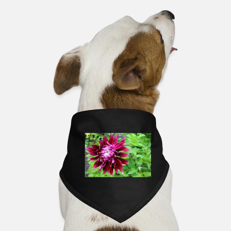 Dahlia, Flower, Blossom Red Dog Bandana