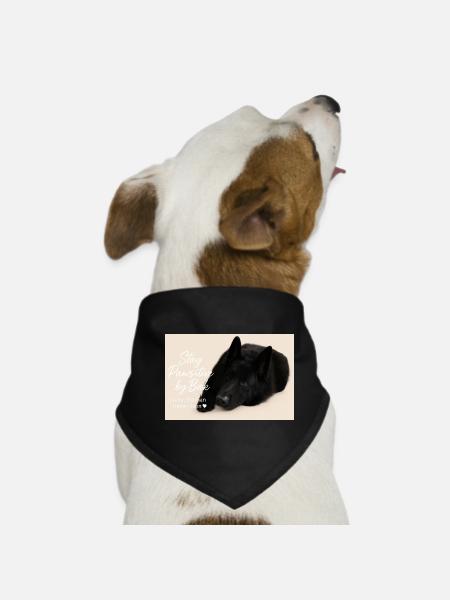 Bak - Dog Bandana - black