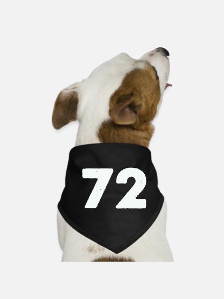 72 - Hunde-Bandana - Schwarz - Vorne
