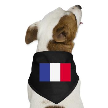 Frankreich National Flagge - Hunde-Bandana - Schwarz - Vorne