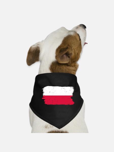 Pinselstrich "Flagge polieren" - Hunde-Bandana - Schwarz - Vorne