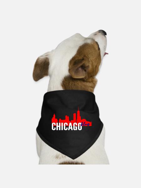 Chicago Blues - Hunde-Bandana - Schwarz - Vorne