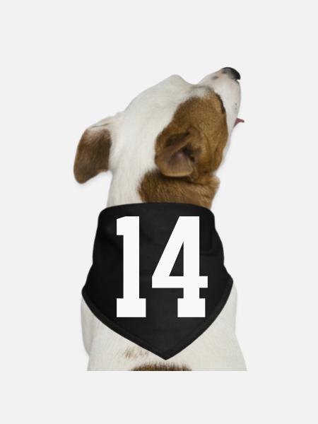 14- - Hunde-Bandana - Schwarz - Vorne