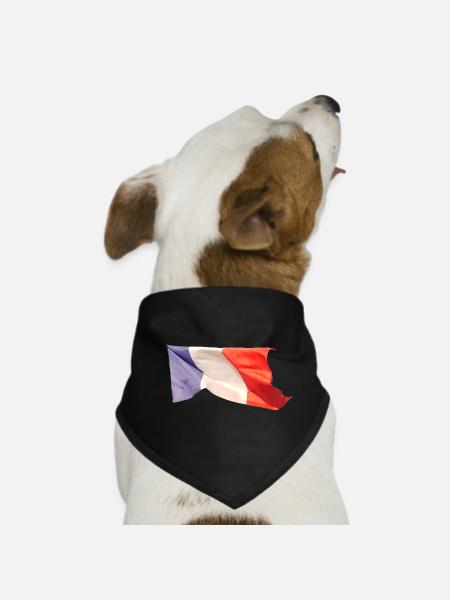 Französische Trikolore - Hunde-Bandana - Schwarz - Vorne