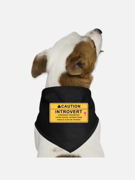 Caution Introvert - Hunde-Bandana - Schwarz - Vorne