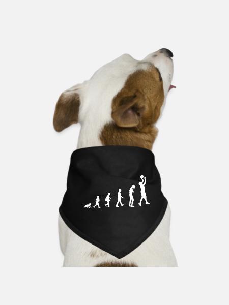 Evolution from baby to basketball player / Sport - Dog Bandana - black - Front
