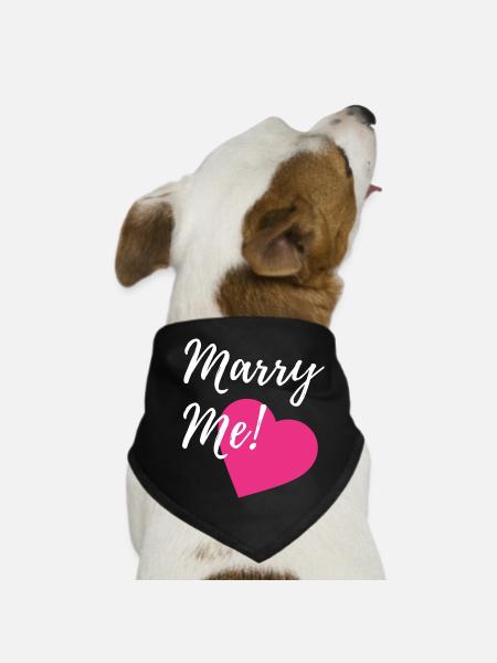 Marry me! Proposal idea: Wedding proposal - Dog Bandana - black - Front