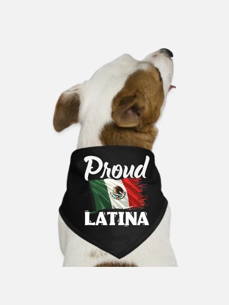 Mexiko Stolz & Heimat Mexikaner Mexico Flagge - Hunde-Bandana - Schwarz - Vorne