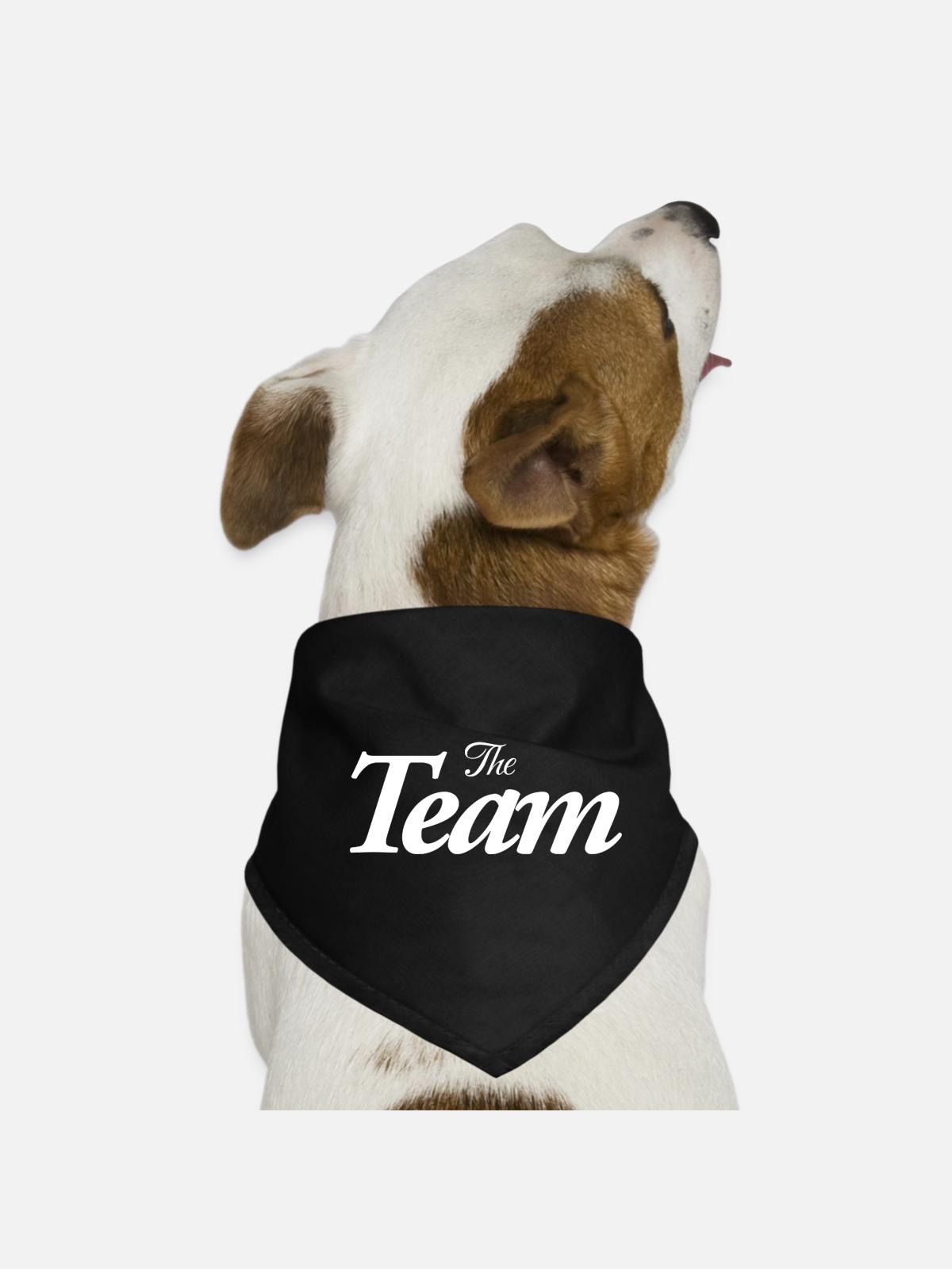 The Team - Hunde-Bandana - Schwarz - Vorne