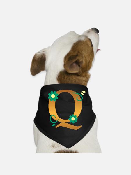 Q - Hunde-Bandana - Schwarz - Vorne