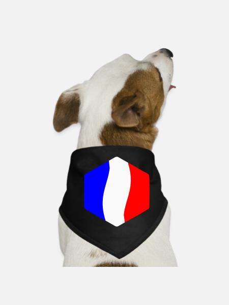 Abstract Tricolor Blue White Red Curved - Dog Bandana - black - Front