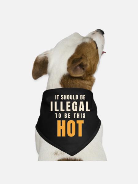 Il devrait être illégal d’être aussi chaud - Bandana pour chien - noir - Devant