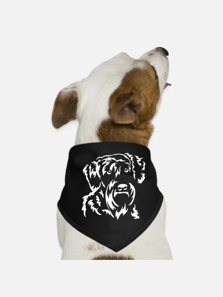 Schnauzer Kopf "Black Edition" - Hunde-Bandana - Schwarz - Vorne