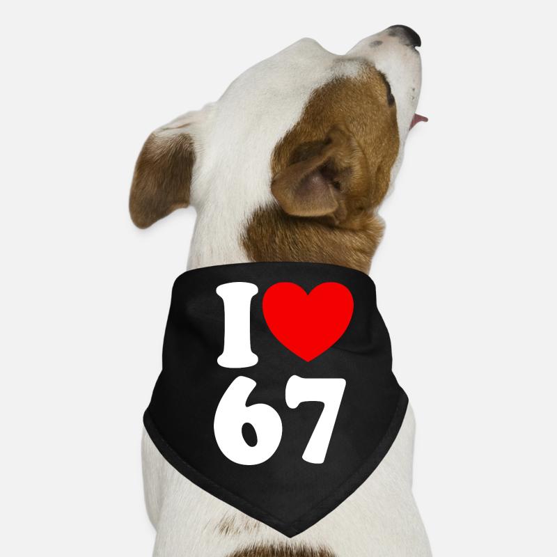 Fun 67 Numéro 6-7 I Cœur 6 7 Six Sept Bandana pour chien