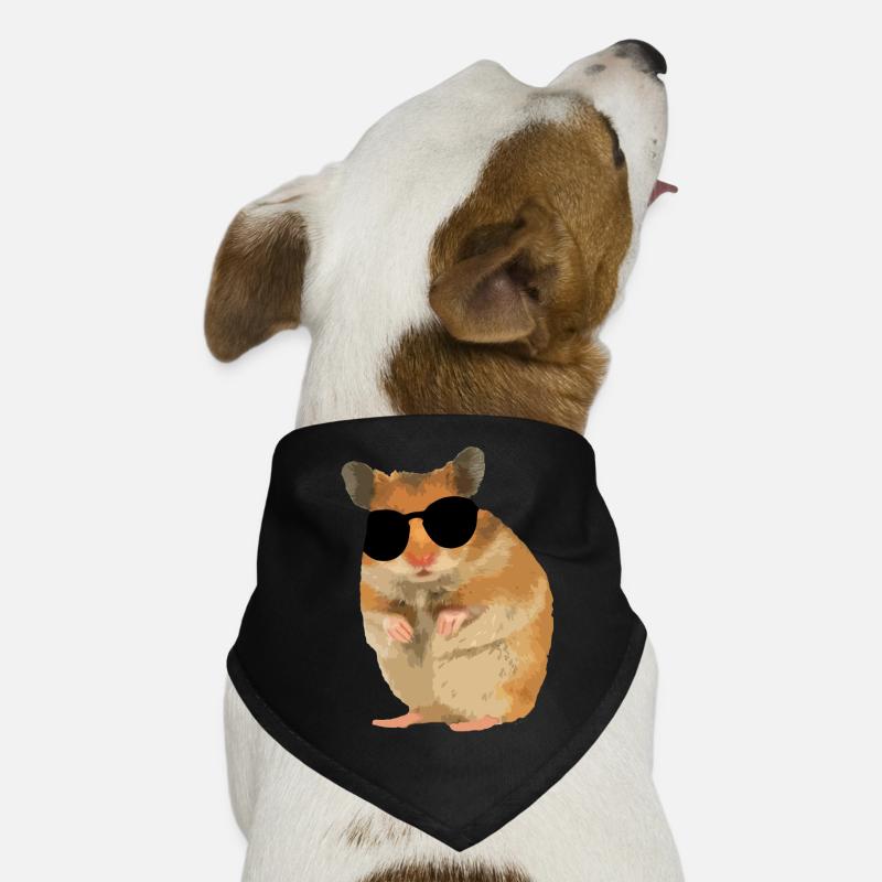 Hamster Menno avec des lunettes de soleil cool Bandana pour chien