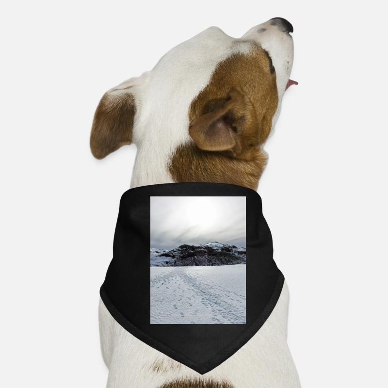 Schneebedeckter Horizont unter blasser Sonne Hunde-Bandana
