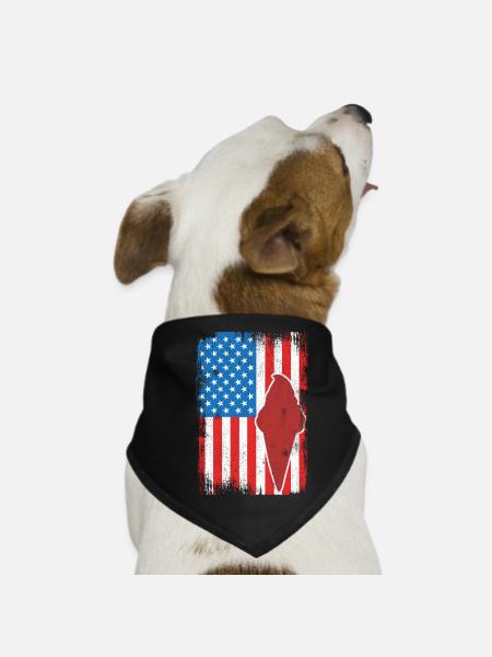 Eiscreme 4. Juli USA - Hunde-Bandana - Schwarz - Vorne