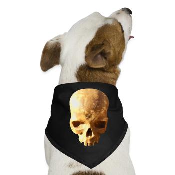 Schädel-Hintergrund - Hunde-Bandana - Schwarz - Vorne