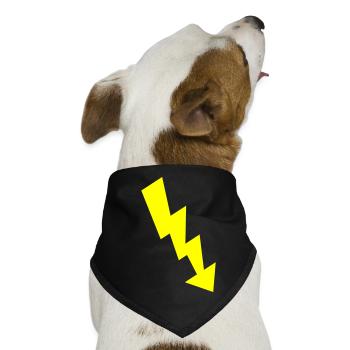blitz - Hunde-Bandana - Schwarz - Vorne