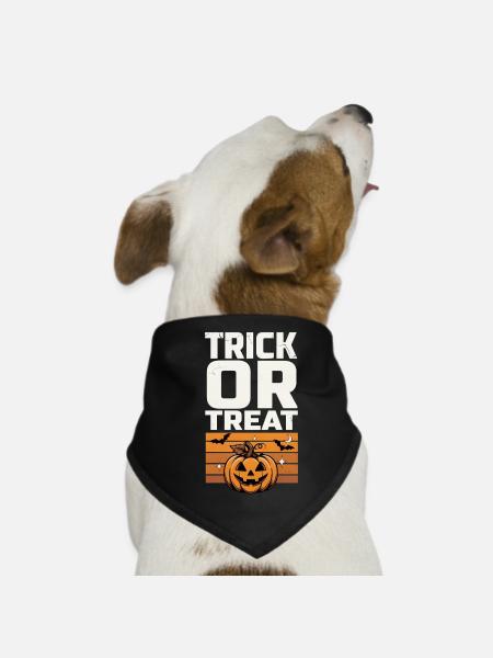 Trick or Treat – Pumpkin Halloween - Dog Bandana - black - Front