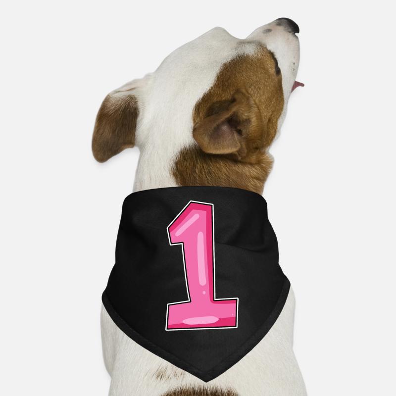 1 - Bandana pour chien - noir
