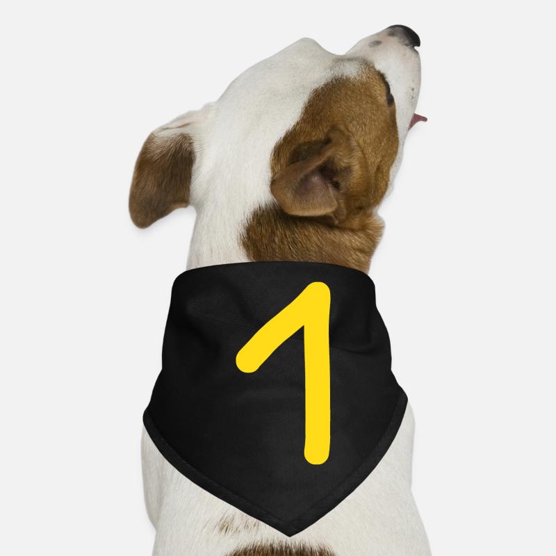 1 numéro un anniversaire Bandana pour chien