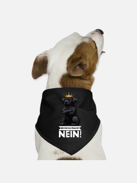 Avant que vous ne demandiez : pas de propriétaire de Labrador Labrador - Bandana pour chien - noir - Devant