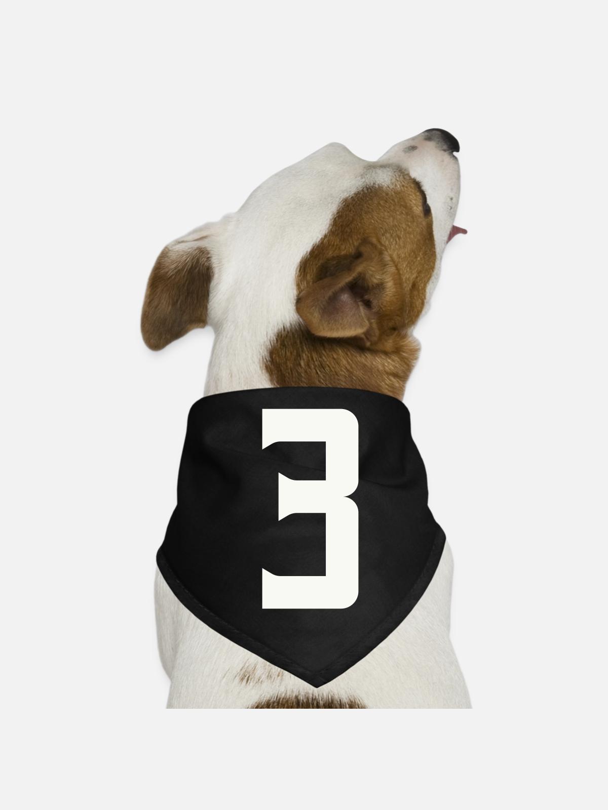 3 - Hunde-Bandana - Schwarz - Vorne