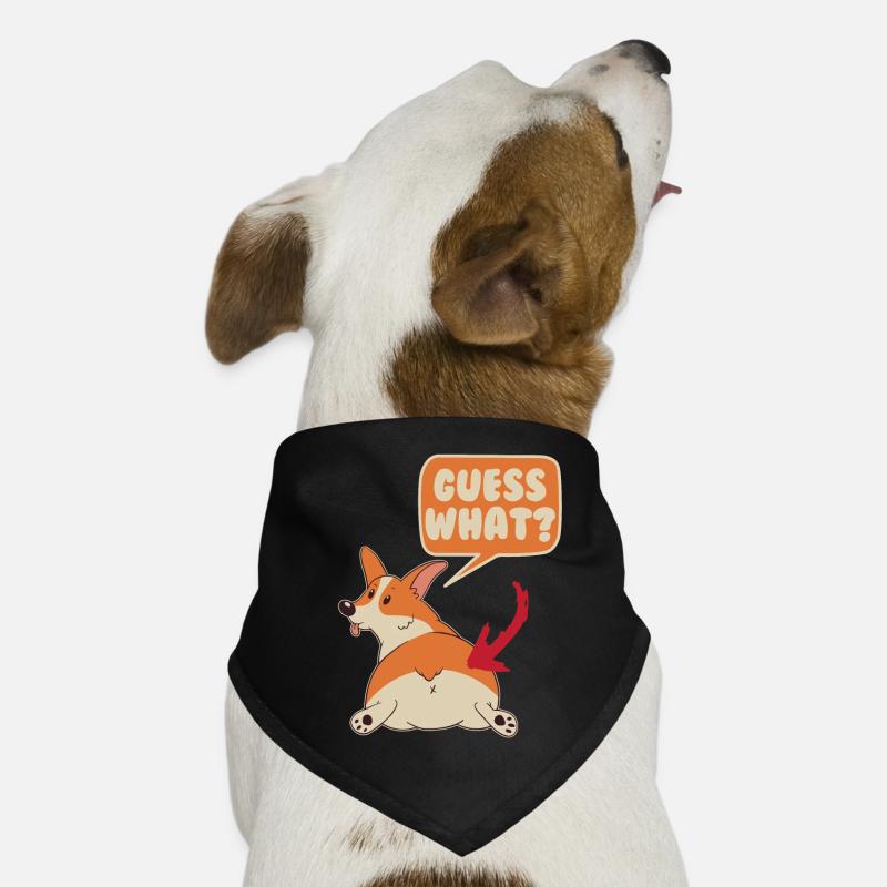Corgi devinez quoi- Corgi Bandana pour chien