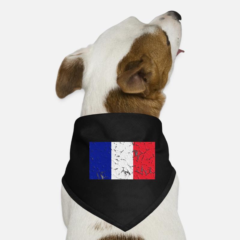 Land Mayotte Hunde-Bandana