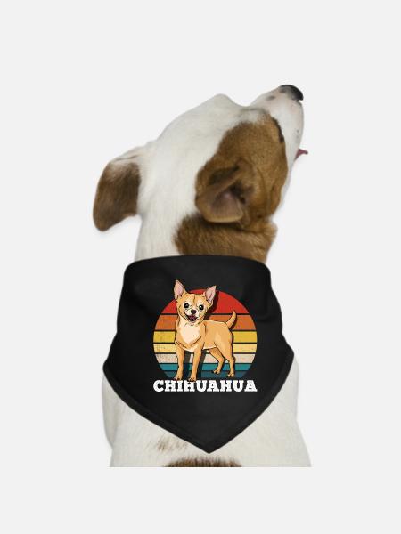 Chihuahua - Dog Bandana - black - Front
