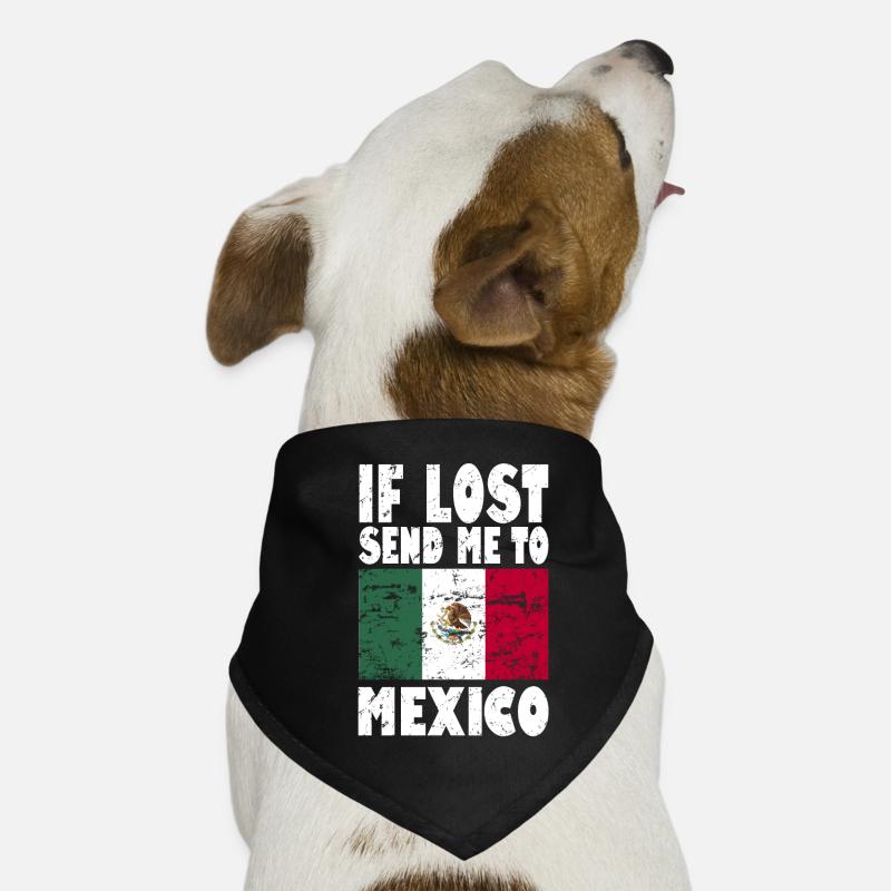 Mexico Flag Saying Dog Bandana