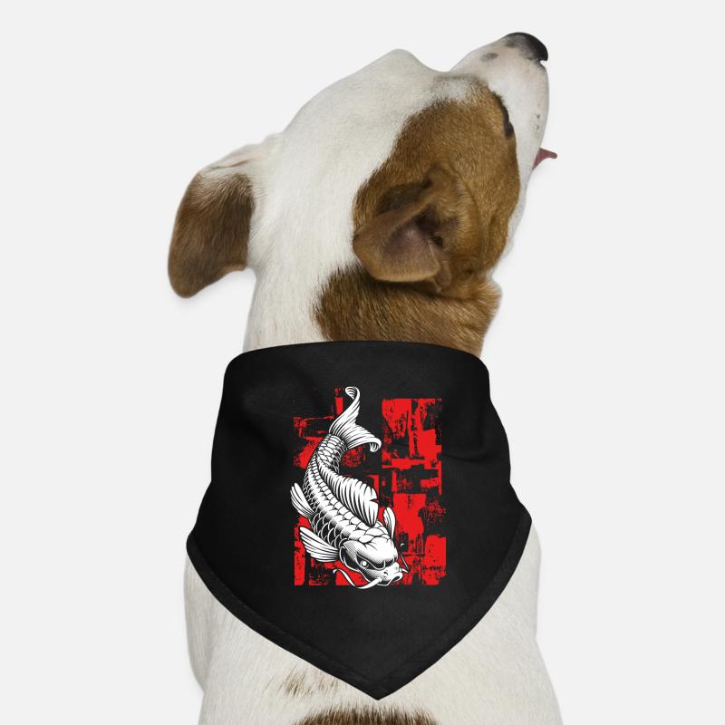 Weißer Koi mit rot Hunde-Bandana
