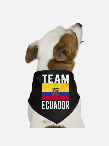 Ecuador Flag - Dog Bandana - black - Front